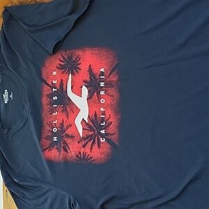 Hollister Tee